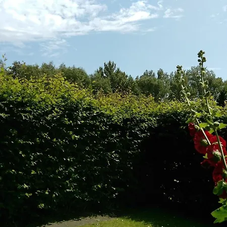 Apartament Sommerruhe
